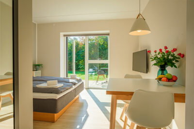 Møbleret XL-studiolejlighed med terrasse - Tornhøjvej, Aalborg Øst - 0