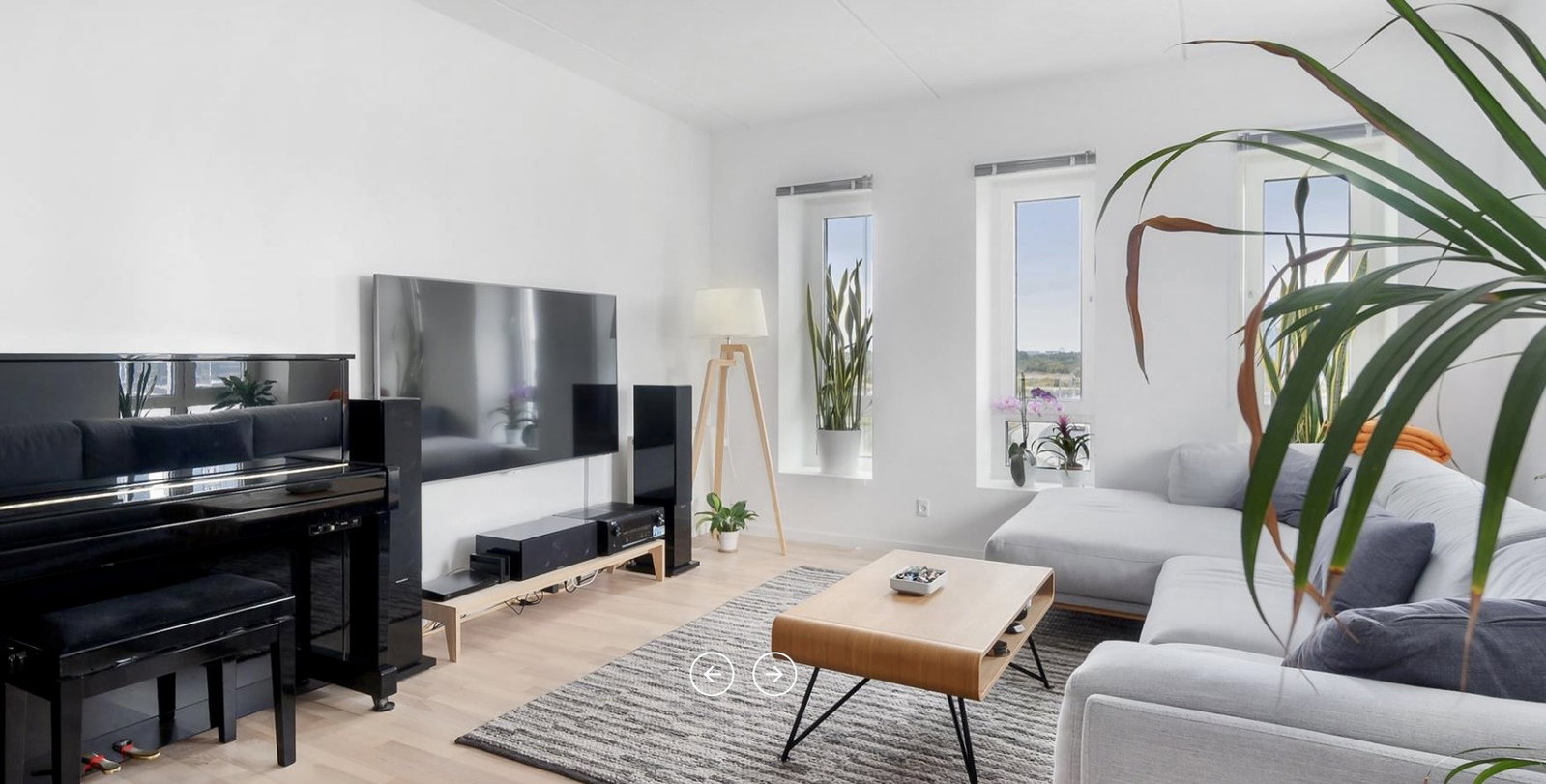Visual presentation of the listing