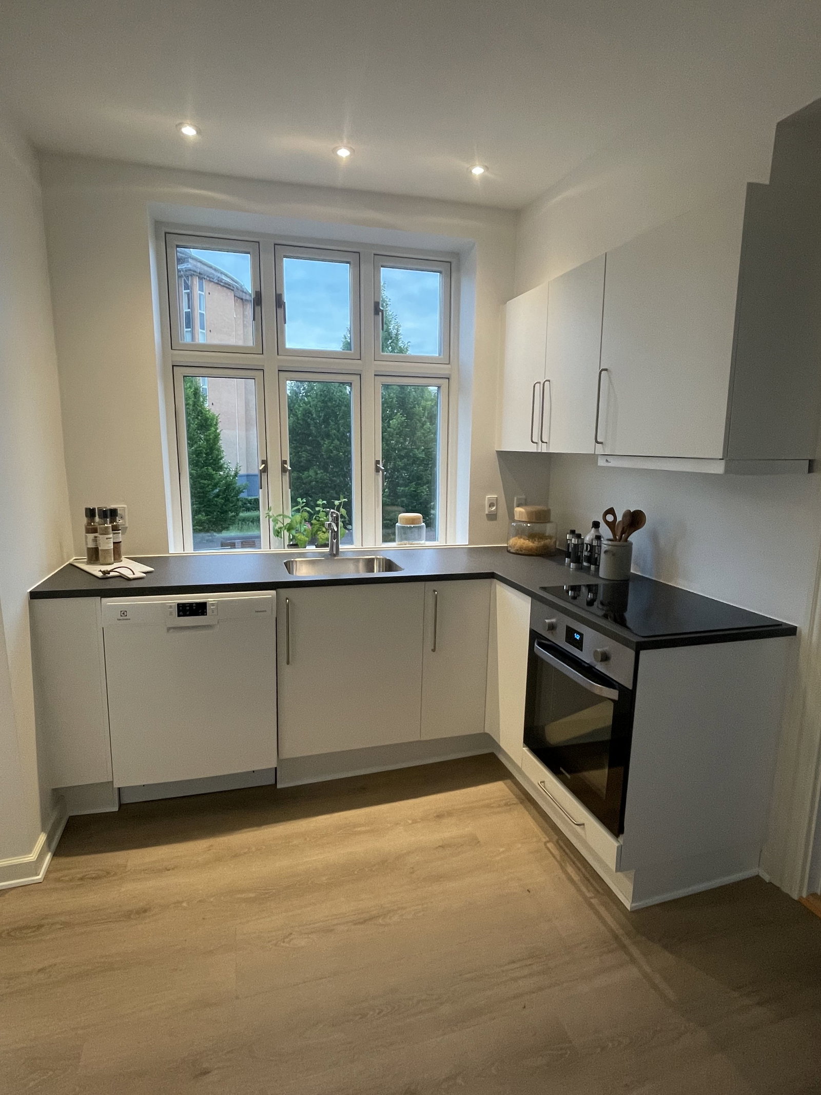 apartment Roommate-friendly, lovely renovated apartment on the first floor