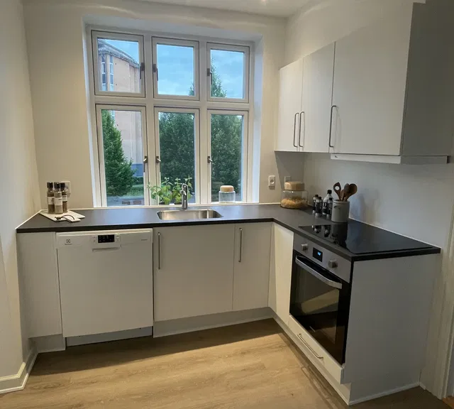 apartment Roommate-friendly, lovely renovated apartment on the first floor