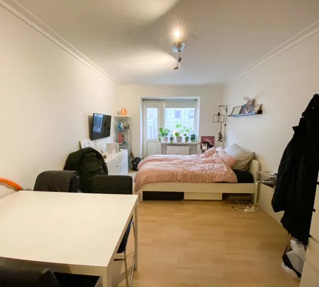 apartment 1-værelses bolig centralt i Aalborg med to altaner