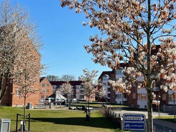 2-room family homes with balconies - Mimersgade, Horsens - 3