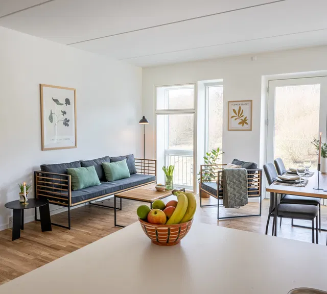 apartment Senior-friendly housing in Dalum Papirfabrik (40+)