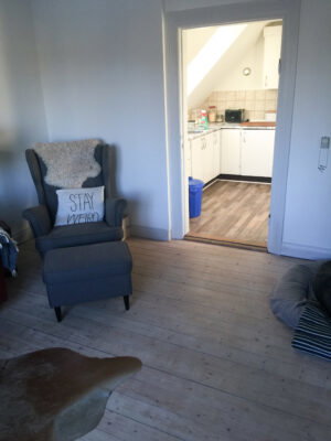 Classic Three-Room Apartment with Great Living Spaces in Hobro - Mariagervej, Hobro - 3