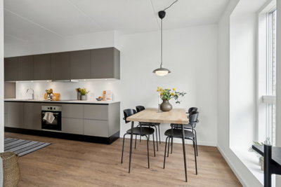 Modern 3-Room Apartment Near Aalborg City Centre - Dag Hammarskjølds Gade, Aalborg - 1