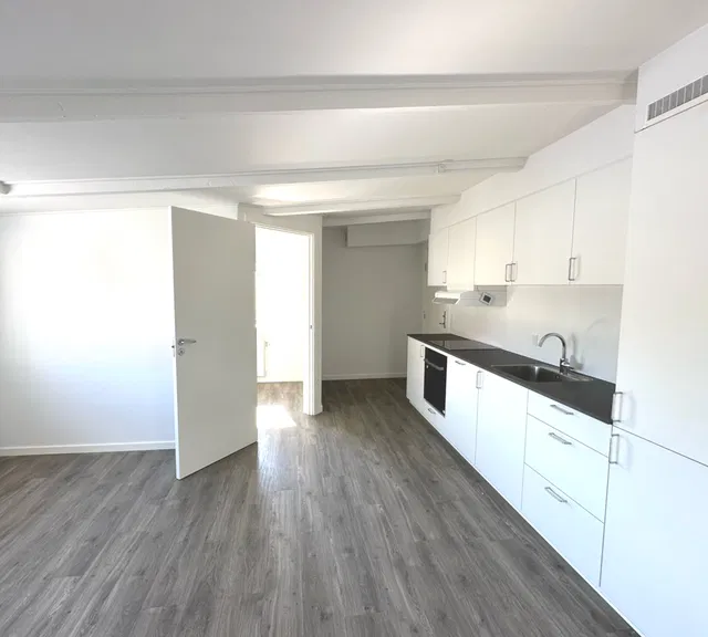 apartment Centralt beliggende lejlighed med lyst køkken-alrum