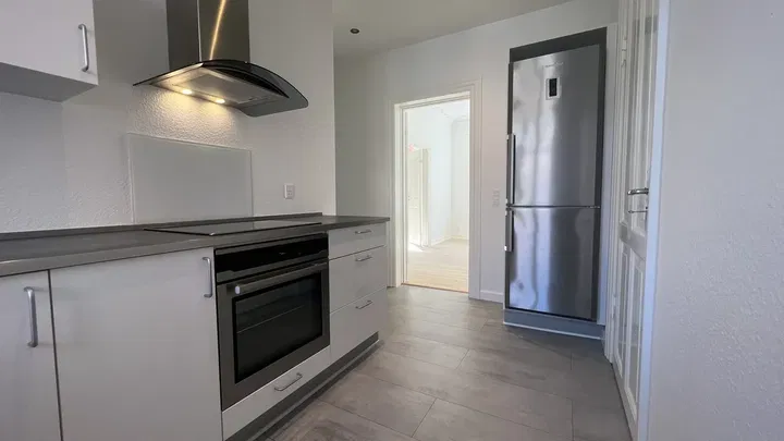 Lovely 4-room apartment in central Randers - Slyngborggade, Randers C - 1
