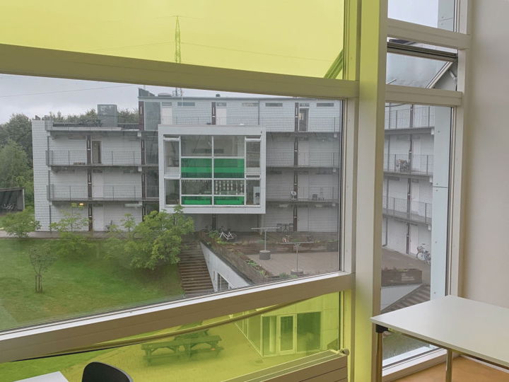 2-room apartment (suitable for sharing) - Vintervej, Aarhus V - 3