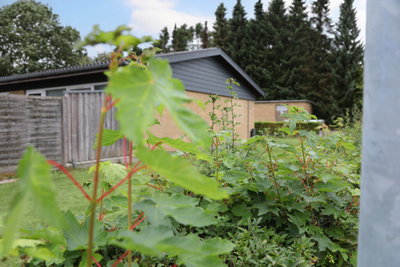 Lækker rækkehus med 2 værelser - Overbygade, Rødding - 4