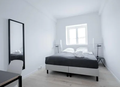 Co-living: Loft apartment w/ balcony and terrace - Rådmandsgade, København N - 4