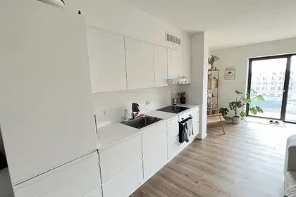 Bright and spacious 2-room apartment with south-facing balcony – photo 2