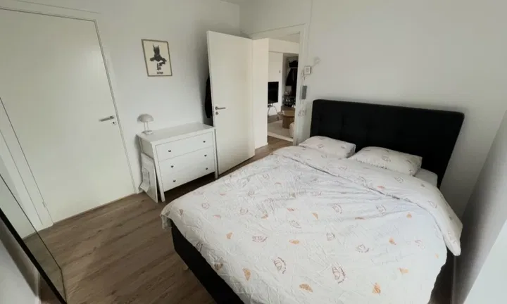 Bright and spacious 2-room apartment with south-facing balcony – photo 4