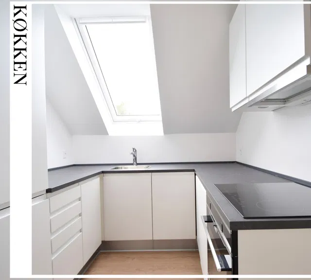 apartment Nyere, lys lejlighed på villavej