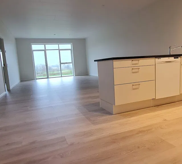 townhouse Rummeligt rækkehus ved skov, å og badesø