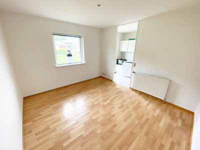 1-værelses ungdomsbolig på 22 m² ved skov og marker - Grøftholtvænget, Haderslev - 4