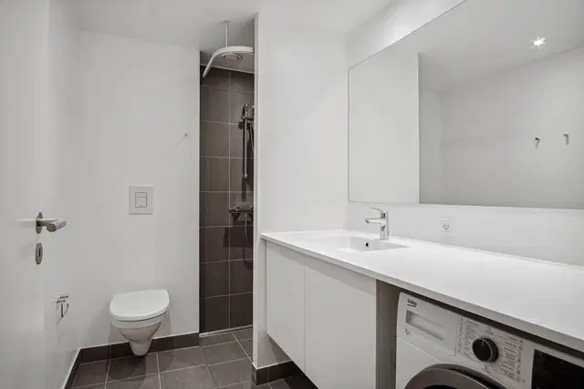 apartment 3-room apartment with excellent facilities