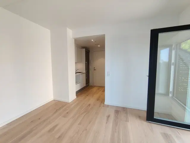 apartment Lys 1-værelses lejlighed med stor altan i Silkeborg