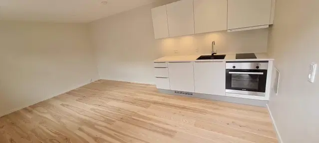 apartment Lys lejlighed med central beliggenhed