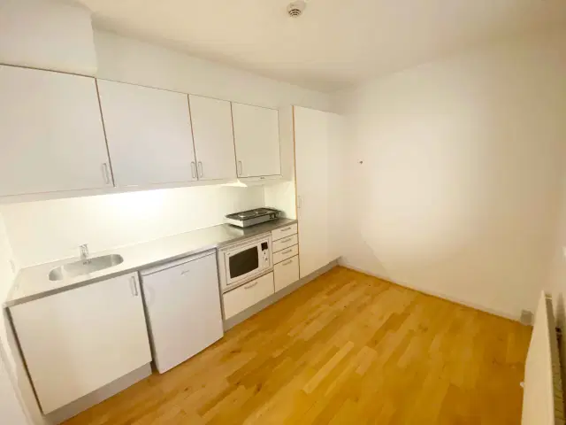apartment Stor 1-værelses ungdomsbolig på Erik Grøn kollegiet