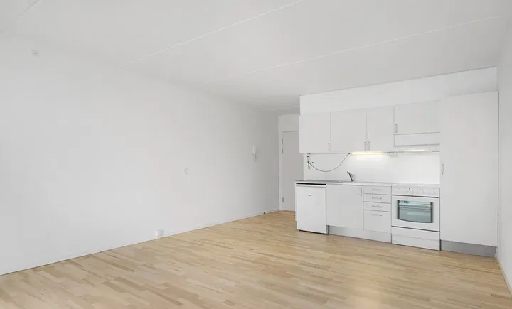 Bright 1-room apartment of 45 m² by the harbour in Aalborg – photo 3