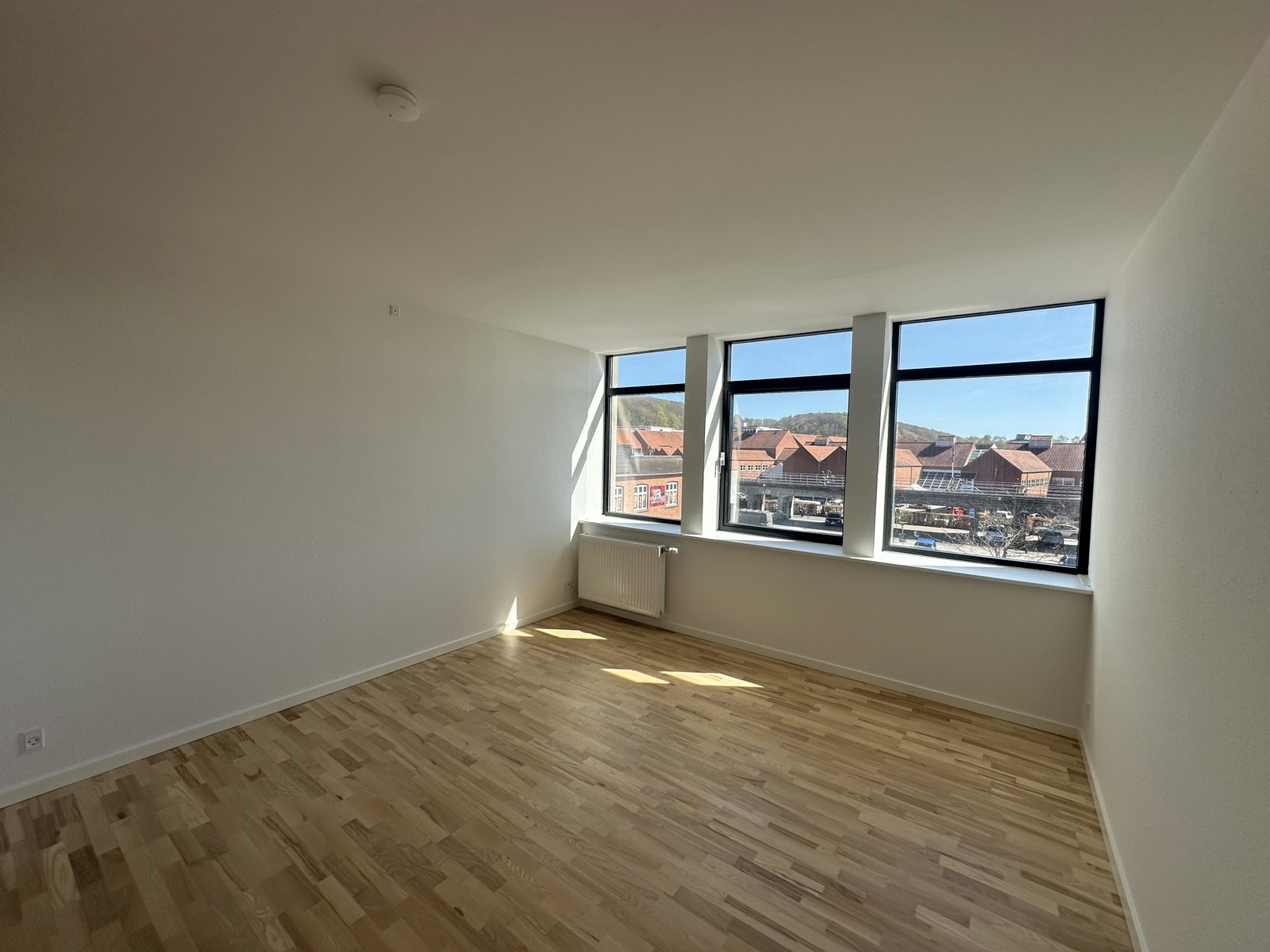 apartment Central, nyrenoveret 1-værelses bolig