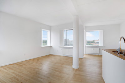 Stor 2-værelses bolig i Åparken med moderne faciliteter - Åparken, Horsens - 4
