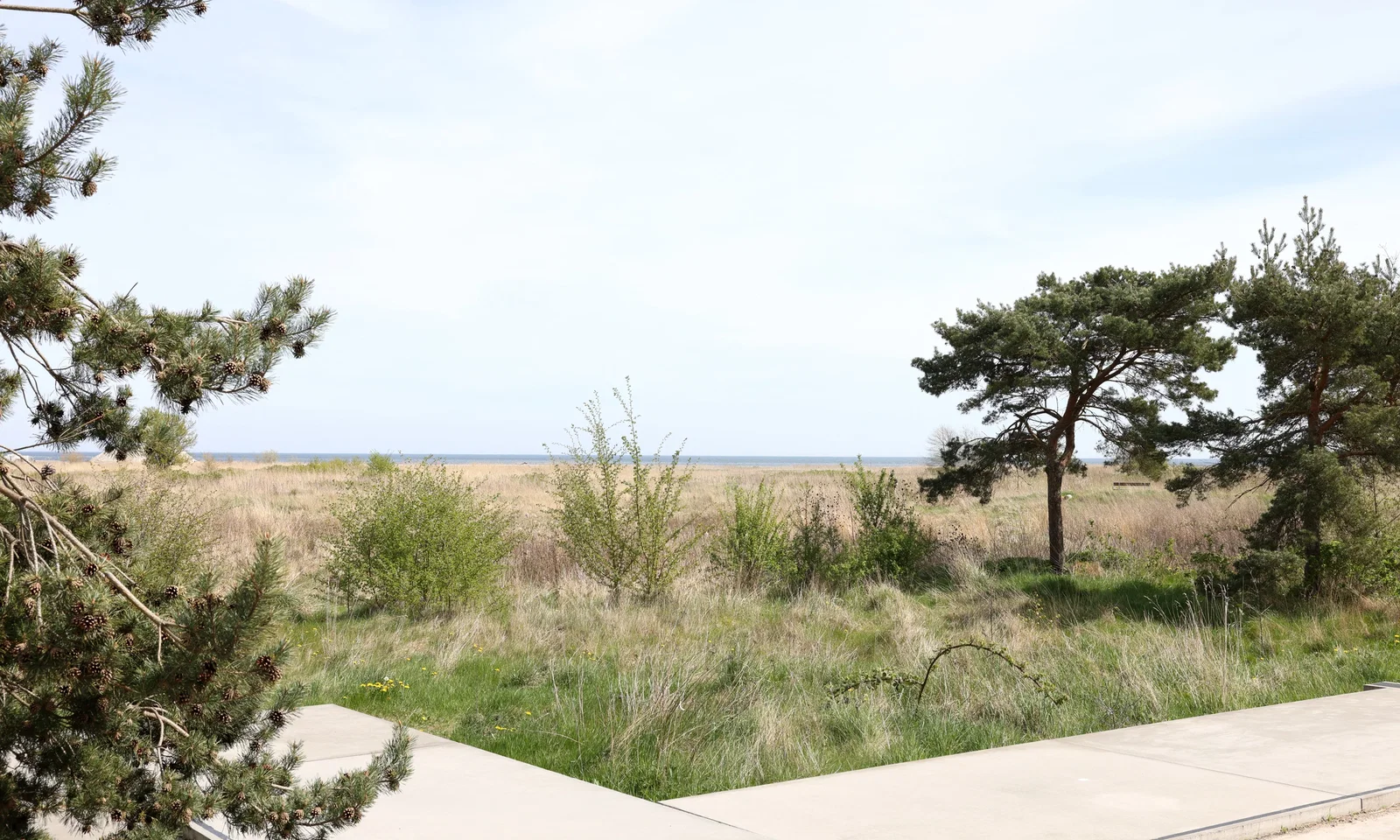 apartment Bright and Beautiful 2-Room Apartment – Right by Køge Bay