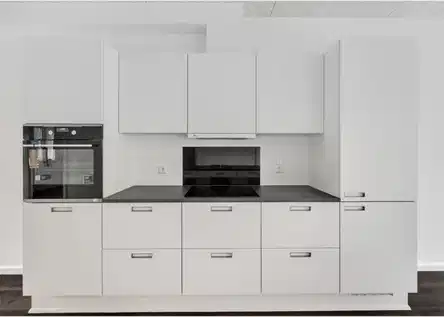 apartment Stor 3 værelses lejlighed med mulighed for at have husdyr.