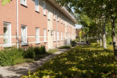 (reserveret) Lys 1-værelses lejlighed med altan i Terndrup - Østermarksvej, Terndrup - 3