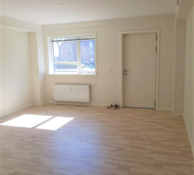 apartment Lys 2-værelses med terrasse og kælderrum