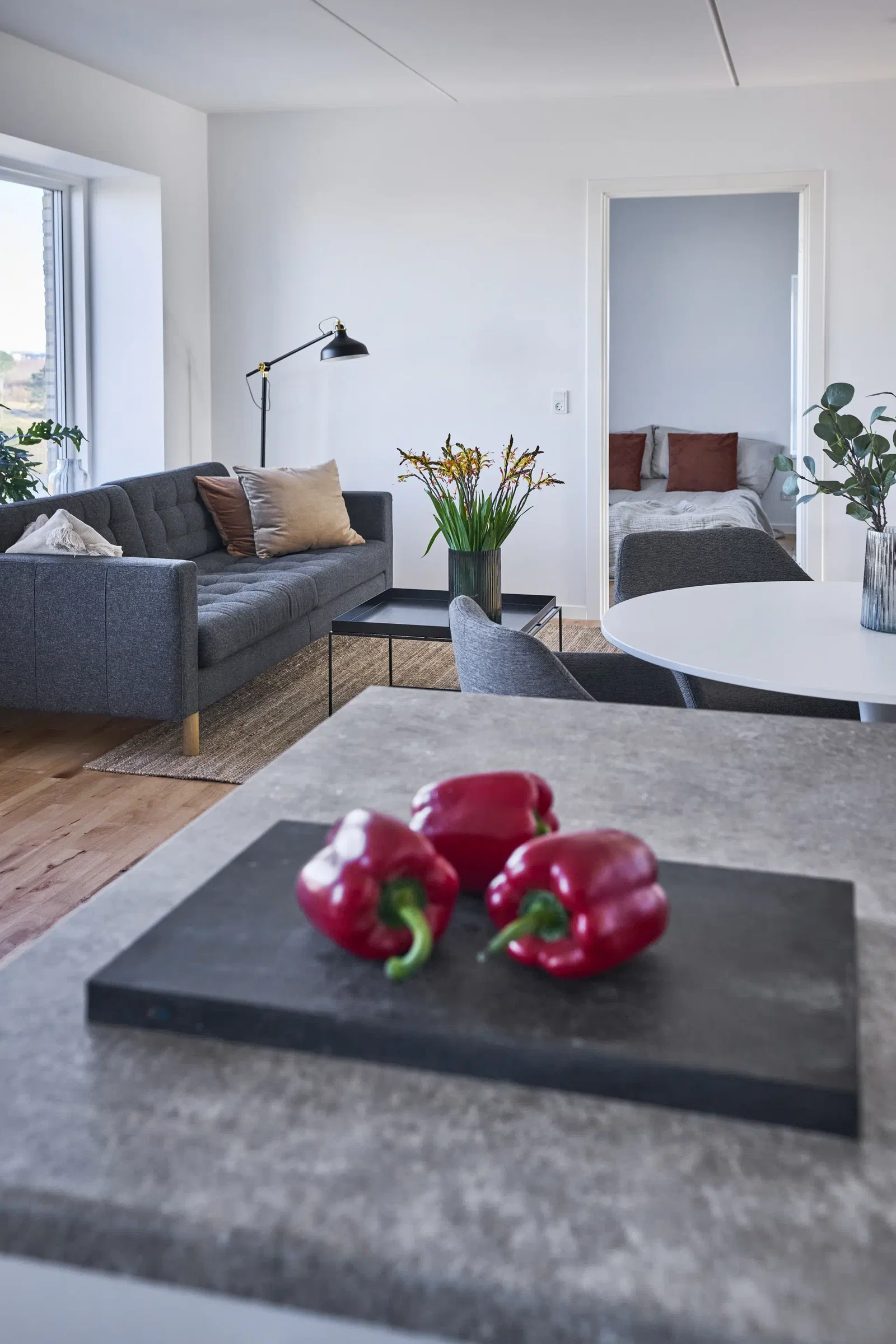 apartment Familievenlige lejligheder i Aalborg