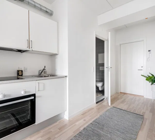 apartment Lækker kollegielejlighed i Ballerup