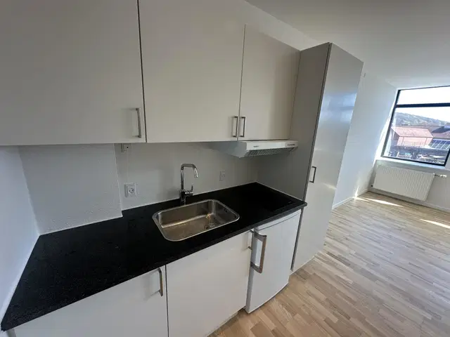 apartment Renoveret 1-værelses i centrum af Vejle