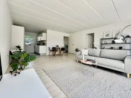 apartment Sydvendt terrasse og rummelig planløsning