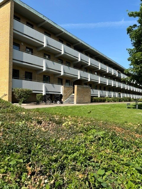 Lys lejlighed med sydvendt altan nær Viborg centrum - Falkevej, Viborg - 0