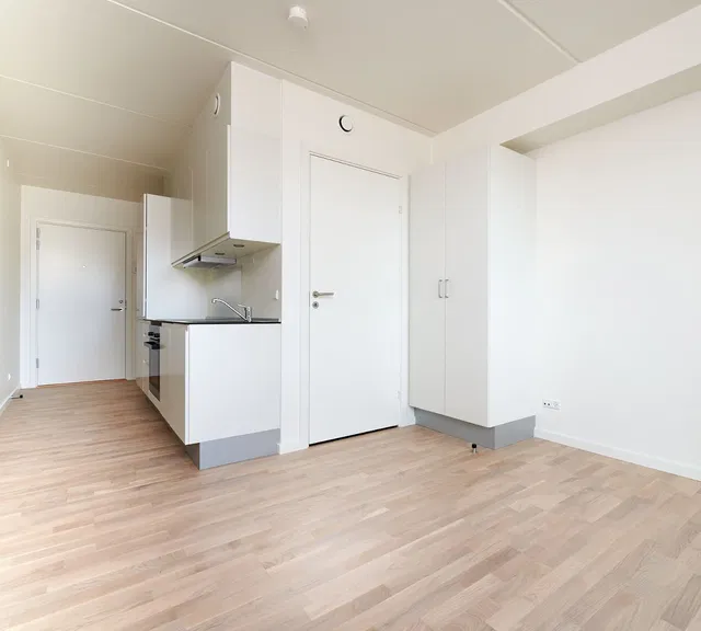 apartment 1-room apartment with private balcony and shared facilities