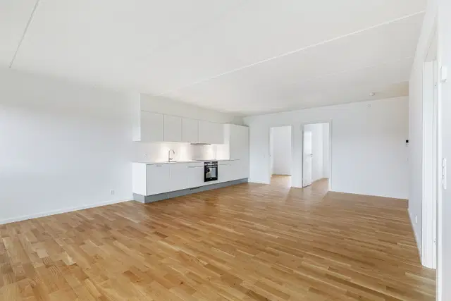 apartment Rummelig 4-værelses lejlighed tæt på Roskilde centrum