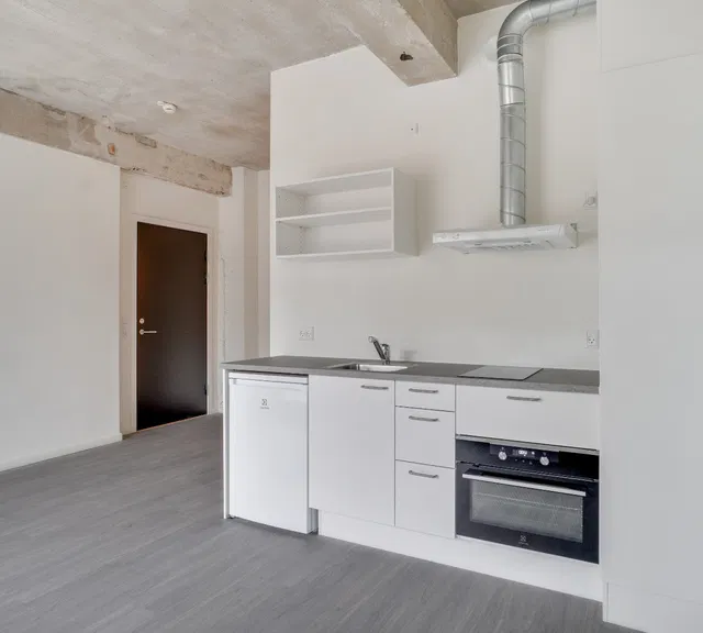 apartment 1-værelses bolig med fællesfaciliteter