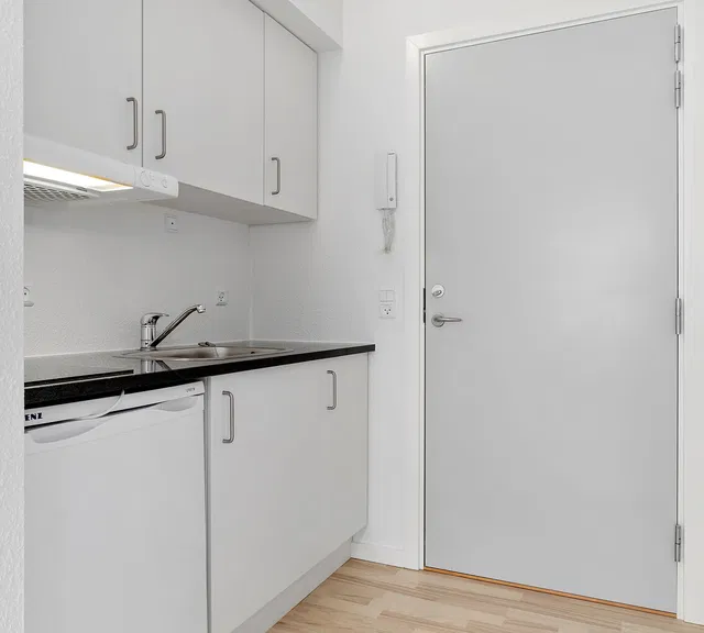 apartment Lys 1-værelses med vestvendt fransk altan