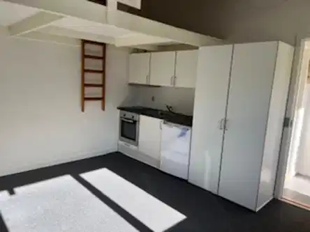 apartment Charming 1-room apartment with mezzanine and a new kitchen