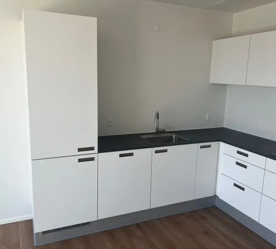 apartment Large and inviting three-room apartment close to the heart of Esbjerg