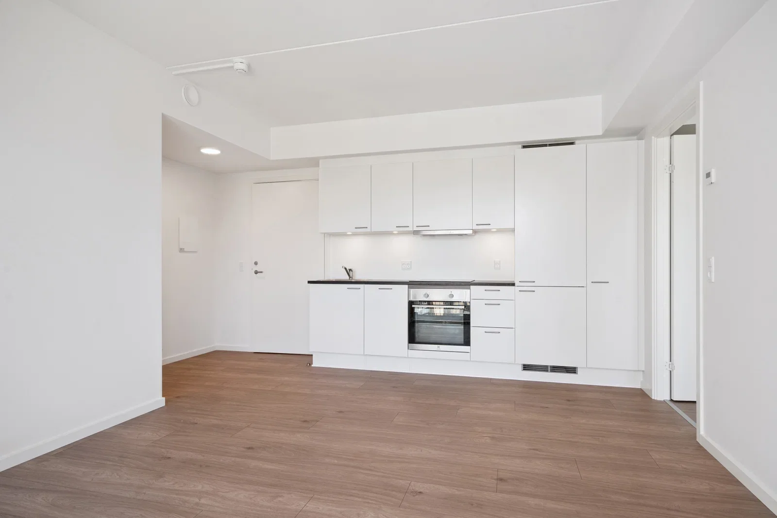 apartment 2-værelses lejlighed med altan og moderne faciliteter