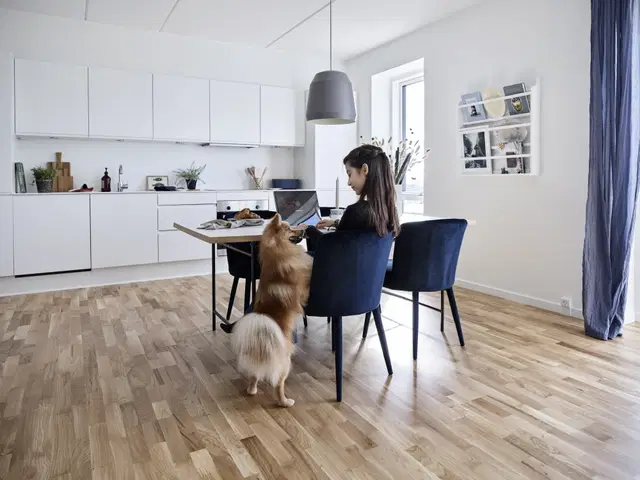 apartment Lys 2-værelses lejlighed med sydvendt altan