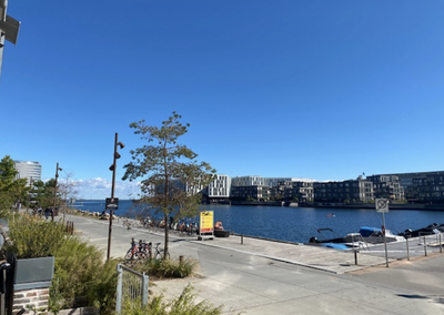 Flot delvist møbleret Nordhavns lejlighed med vandudsigt. - Trelleborggade, Nordhavn - 4