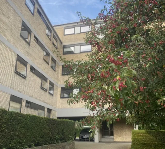 apartment Lille hyggelig møbleret lejlighed med bedste beliggenhed.