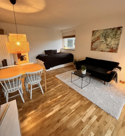 Lille hyggelig møbleret lejlighed med bedste beliggenhed. - Gentoftegade, Gentofte - 2
