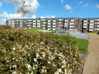 Lækkert boligområde i Aalborg med gode faciliteter - Vangen, Nørresundby - 2