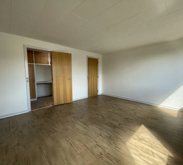 room Large and Budget-Friendly Room in Aalborg East