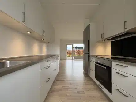 apartment Stor stuelejlighed med have og flot lysindfald