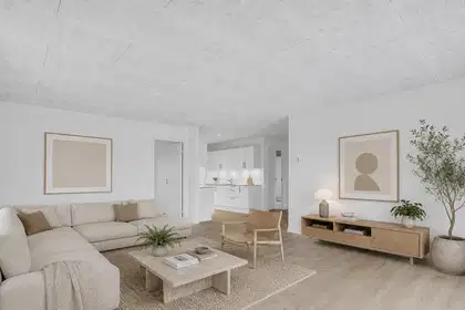 Visual presentation of the listing